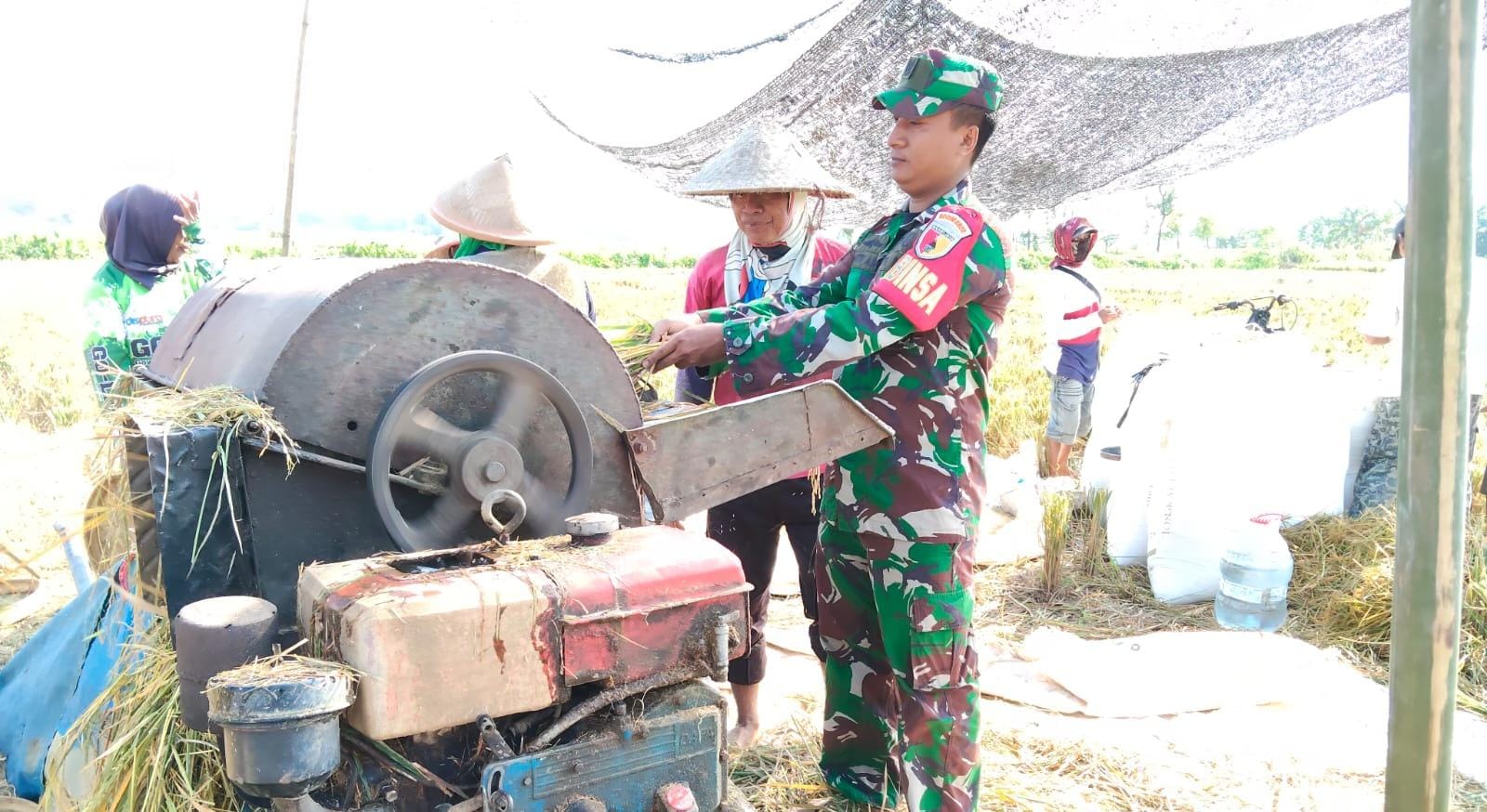 Serka Fantri Ages M. Turun ke Sawah, Dorong Semangat Petani Liprak Kulon Wujudkan Ketahanan Pangan