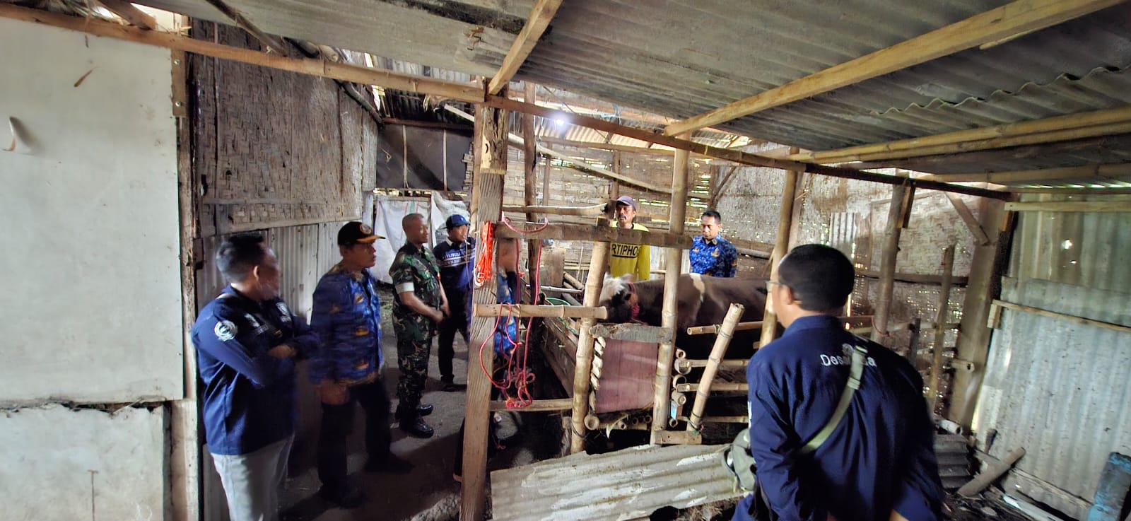 Monev Ketahanan Pangan 2025, Koramil Dringu Pastikan Program Peternakan Sapi Tepat Sasaran