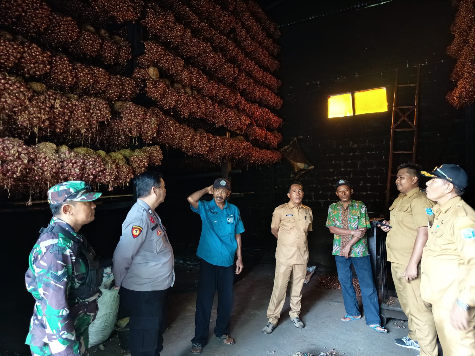 Babinsa Dringu Kawal Ketahanan Pangan, Monev Pembibitan Bawang Merah 2025 Dimatangkan