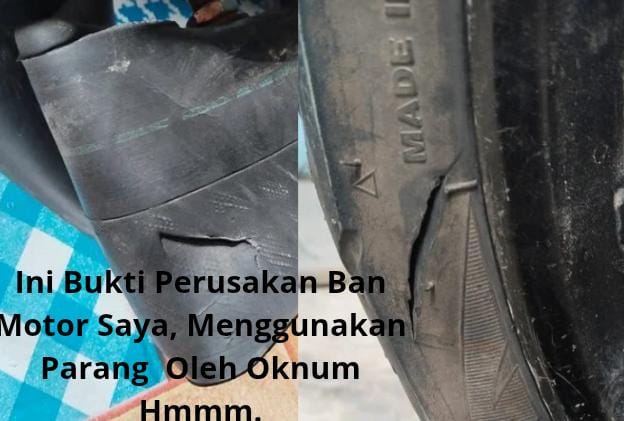 Tangkap Dan Penjarakan Dugaan Mantan Kades Taronggo, Rusak Ban Motor (RB) Gunakan Parang, Langgar Pasal 406 KUHP, Ancaman Pidana 2.8 Bulan