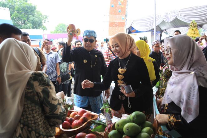 
					Dari Kirab Gunungan hingga Mangga Terunik: Pesta Mangga Kota Probolinggo 2025 Tampilkan 20 Varietas Mangga Nusantara
