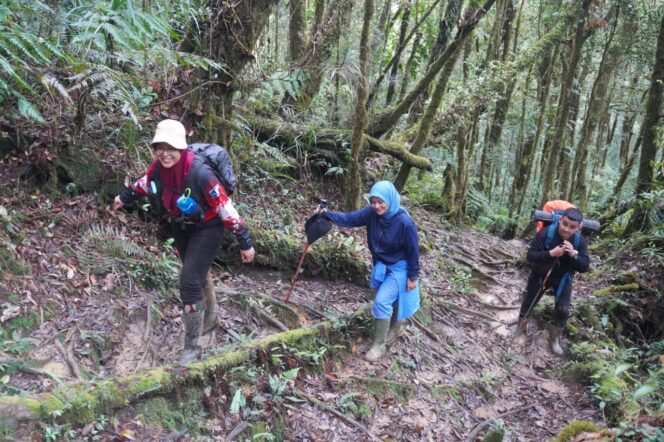 
					Ketua Persit Turun Gunung: Ekspedisi Kemanusiaan ke Desa Terpencil Juhu