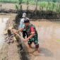 Babinsa Sertu Aksan Turun ke Sawah, Dampingi Petani Banyuanyar Perbaiki Tanggul Demi Ketahanan Pangan