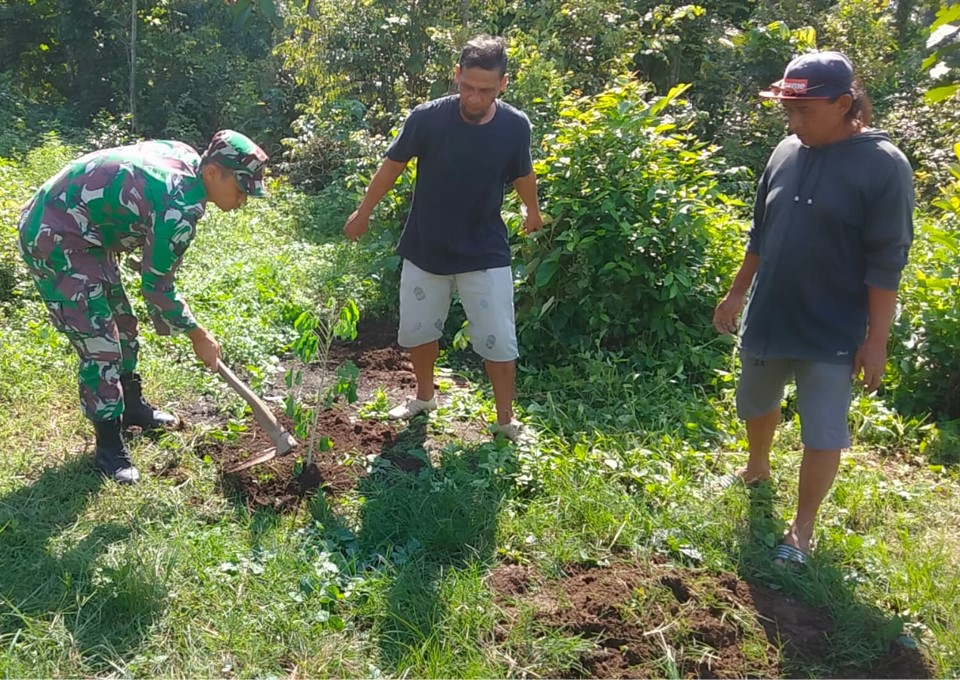 Jaga Kelestarian Lingkungan, Babinsa Gogodeso Bersama Warga Tanam Pohon Keras