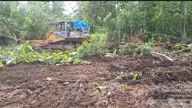 
					Tak Sekadar Wacana, SWI Terapkan Green Economy Lewat Program Tebu di Jawa Timur