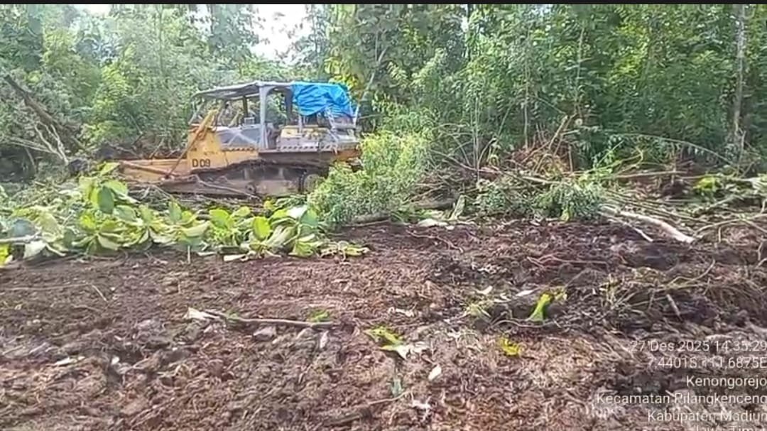 Tak Sekadar Wacana, SWI Terapkan Green Economy Lewat Program Tebu di Jawa Timur