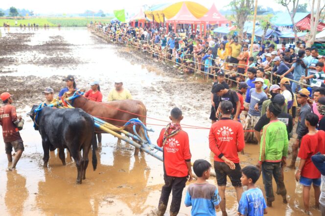 
Bersama Bupati Probolinggo, Dandim 0820 Tegaskan Kerapan Sapeh Sakak Penggerak Ekonomi Desa