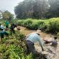 Cegah Banjir, Babinsa Batang Alai Selatan Bersama Warga Bersihkan Sungai