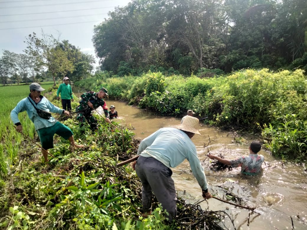 Cegah Banjir, Babinsa Batang Alai Selatan Bersama Warga Bersihkan Sungai