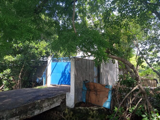 
Kasus Tambak Udang CV LSA Disorot Aktivis, Pemkab Probolinggo Dinilai Lamban Tangani Dugaan Kejahatan Lingkungan