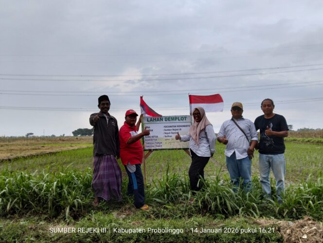 
BPP dan KTNA Wonomerto Optimistis Inpari 32 Dongkrak Produktivitas Petani Lewat Demplot Terpadu