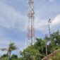 Pembagian Kompensasi Menara Telekomunikasi di Pabean Dipersoalkan, Alur Dana Tak Sepenuhnya Terbuka