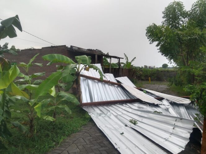 
Cuaca Ekstrem Hantam Probolinggo, Rumah Warga di Pajarakan Runtuh Diterjang Puting Beliung