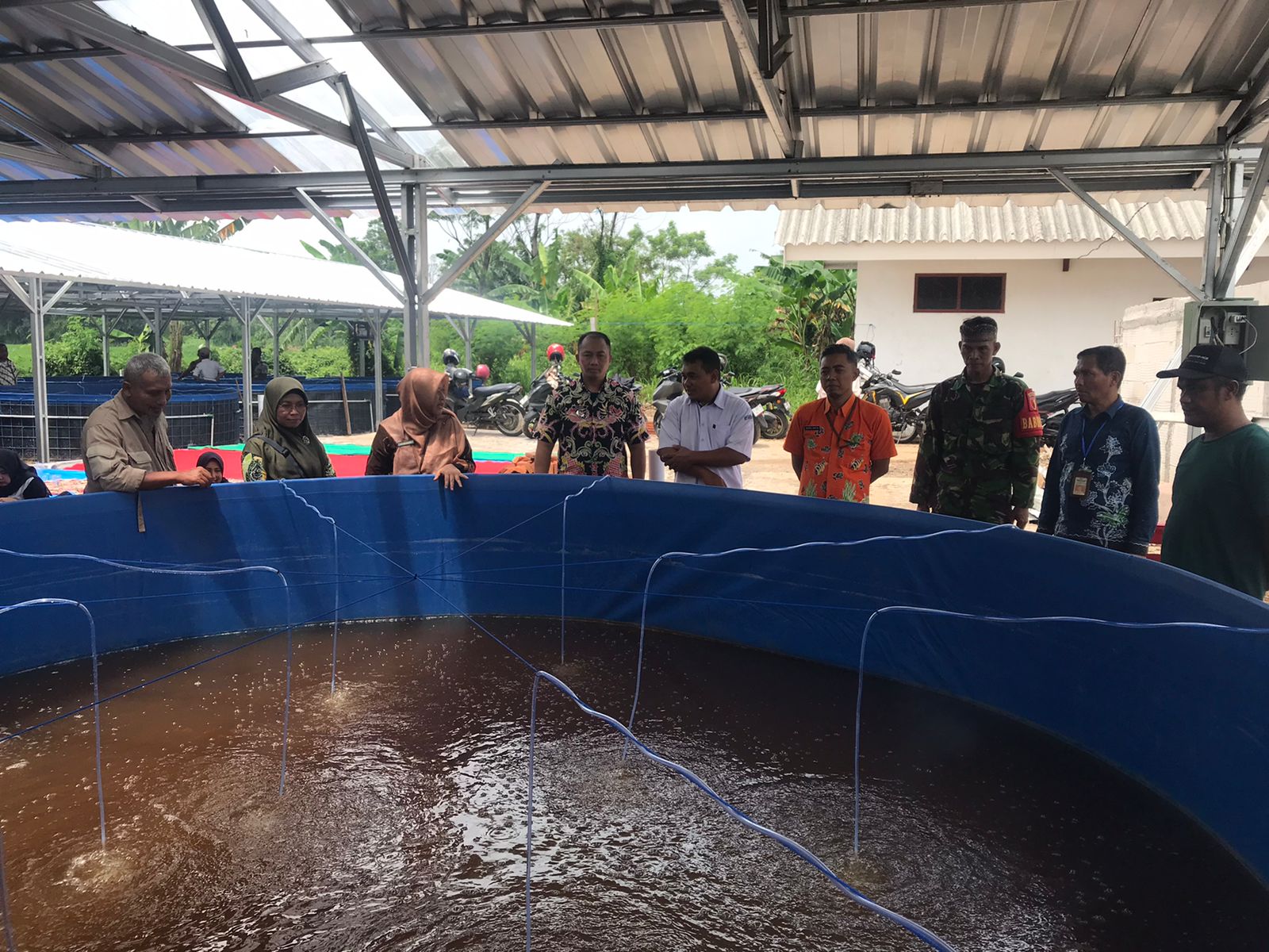 Memperkuat Ketahanan Pangan, Koramil Wonoasih Melakukan Pendampingan Penebaran Benih Ikan Lele Memperkuat Ketahanan Pangan, Koramil Wonoasih Melakukan Pendampingan Penebaran Benih Ikan Lele