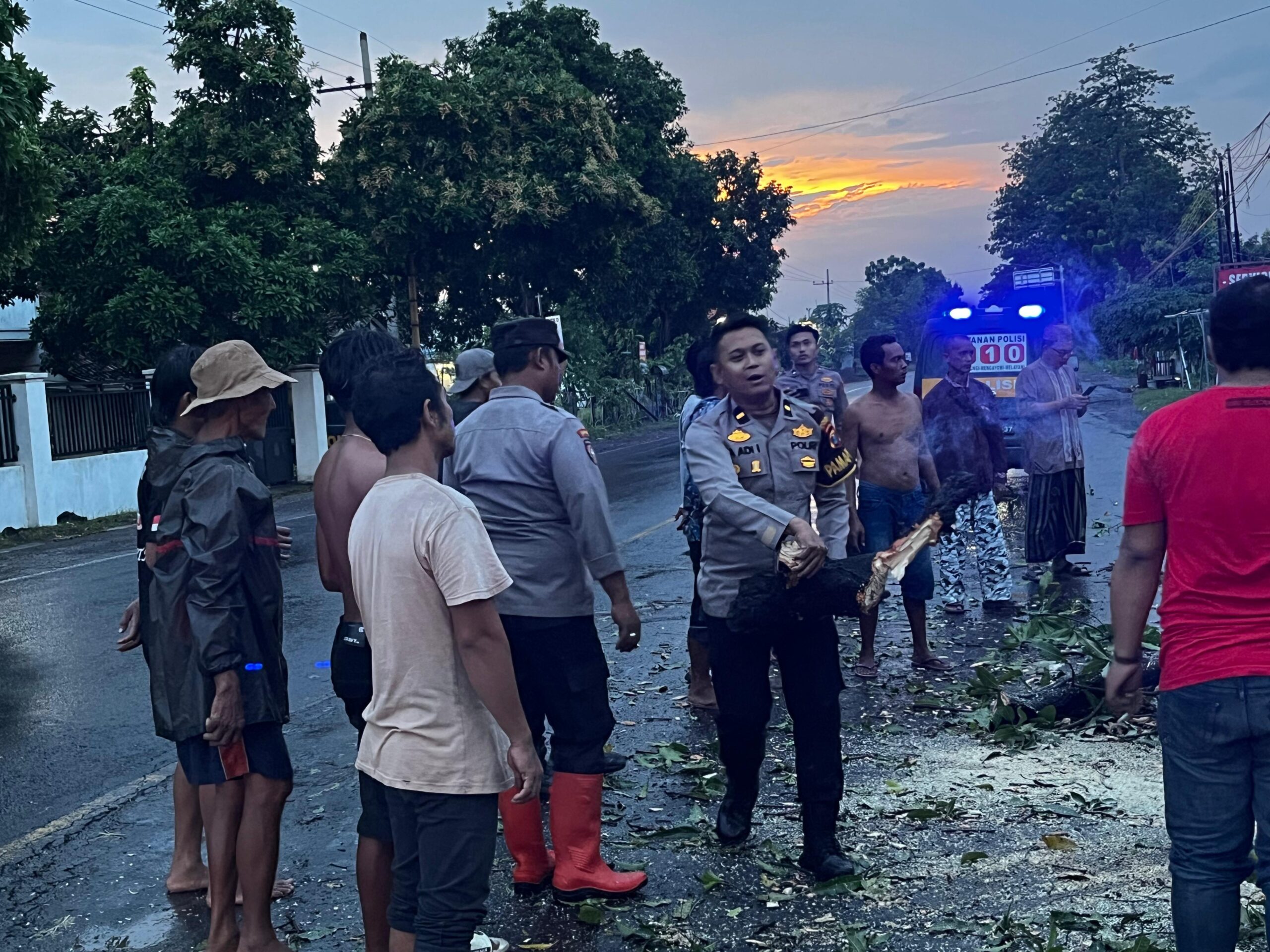 Polres Probolinggo Bersama BPBD Evakuasi Pohon Tumbang di Jalur Pantura Paiton