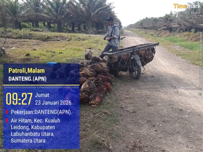 
PT. Agrinas Sukaramai Labura Berdayakan Pekerjakan Masyarakat Sekitar, Hadapi Tantangan Pencurian