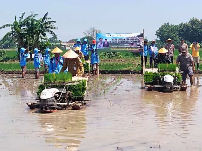 
Alsintan Dorong Efisiensi Pertanian, Poktan Sedap Malam Tiga Perkuat Program Swasembada Pangan