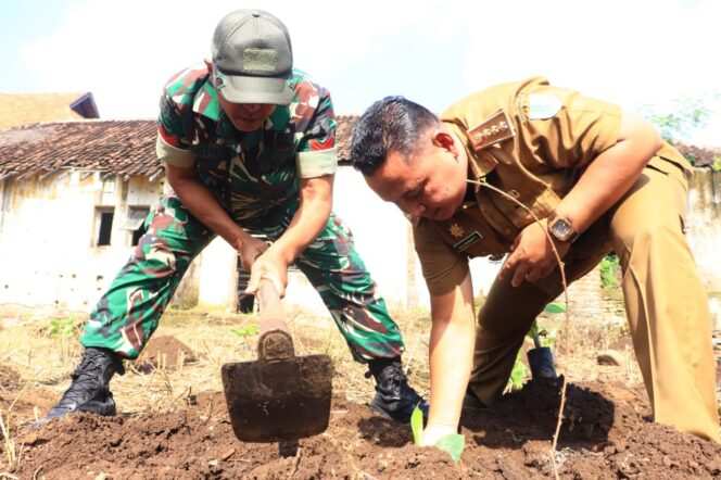 
Mendukung Program Ketahanan Pangan, Koramil 0820-02/Wonoasih Melakukan Penanaman Pisang Cavendish