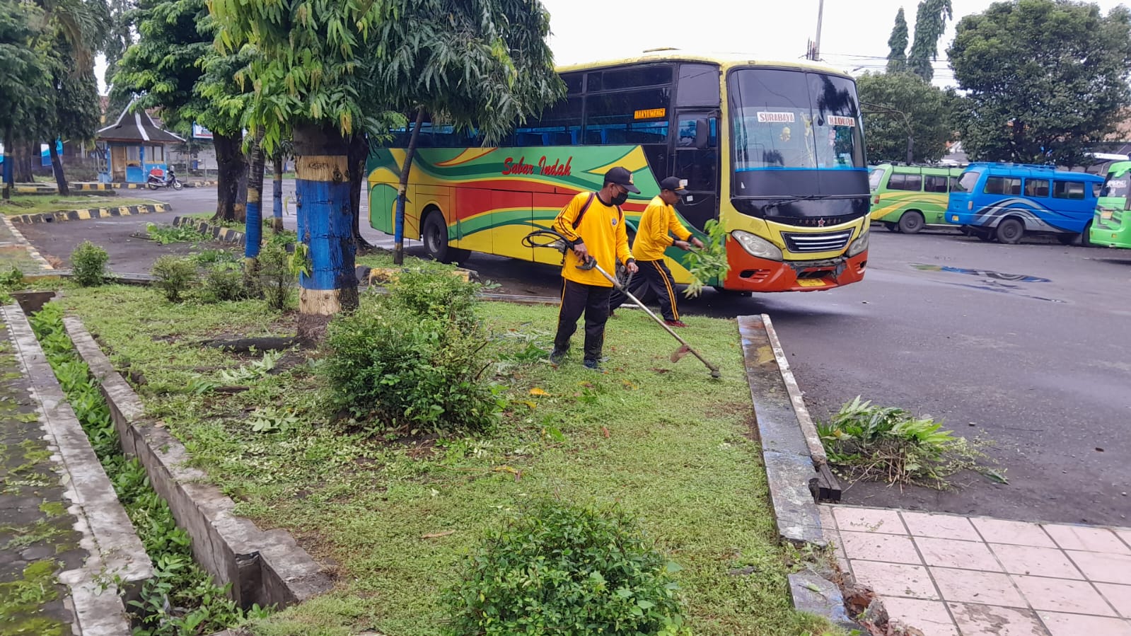Petugas BPTD Jatim Bersihkan Lingkungan Terminal Bayuangga Dukung Gerakan indonesia ASRI