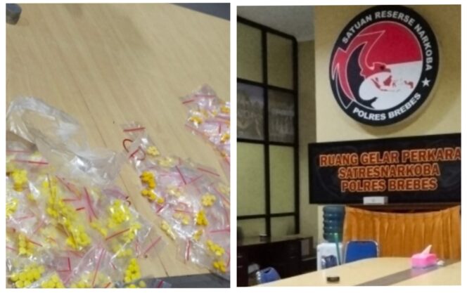 
BREBES DARURAT OBAT TERLARANG: Jaringan ‘Heri’ Gunakan Premanisme, Jurnalis Diserang Parang!