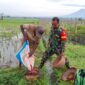 Antisipasi Darurat Pangan Nasional, Koramil Gading Melakukan Pendampingan