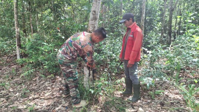 
Menyatu dengan Masyarakat, Satgas TMMD Ke-127 Bantu Warga Menores Karet