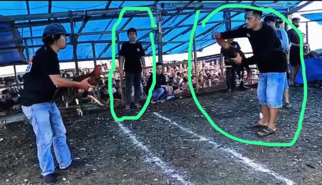 
Diduga Ada Oknum APH Terlibat Judi Sabung Ayam di Morowali?