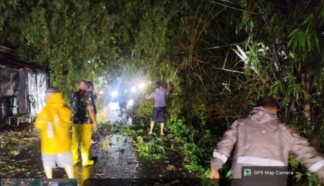 
Akses Sempat Tersendat, Polres Probolinggo Gerak Cepat Tangani Pohon Tumbang di Desa Sukodadi