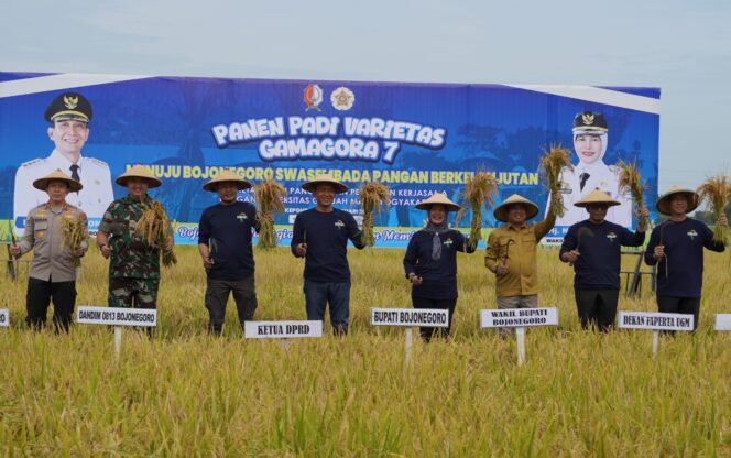 
Dandim Bojonegoro damping Bupati Panen Perdana Varietas Unggul Padi Gamagora