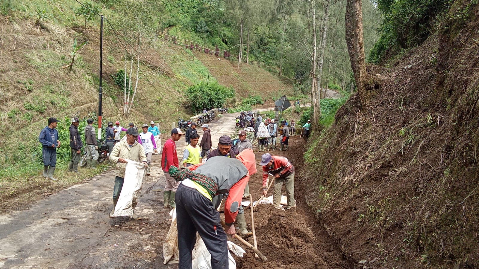 Guyub Tengger di Lereng Bromo: Warga Sumberanom Bersatu Bersihkan Akses Sumber–Sukapura di Tengah Ancaman Longsor Guyub Tengger di Lereng Bromo: Warga Sumberanom Bersatu Bersihkan Akses Sumber–Sukapura di Tengah Ancaman Longsor