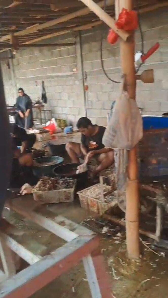 
Diduga Tanpa Izin, Gudang Pemotongan Bebek di Permukiman Kanigaran Picu Keluhan Warga; Respons Dinas Dinilai Lamban