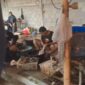 Diduga Tanpa Izin, Gudang Pemotongan Bebek di Permukiman Kanigaran Picu Keluhan Warga; Respons Dinas Dinilai Lamban Diduga Tanpa Izin, Gudang Pemotongan Bebek di Permukiman Kanigaran Picu Keluhan Warga; Respons Dinas Dinilai Lamban