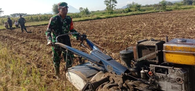 
Program Ketahanan Pangan, Koramil Wonomerto Dampingi Para Petani