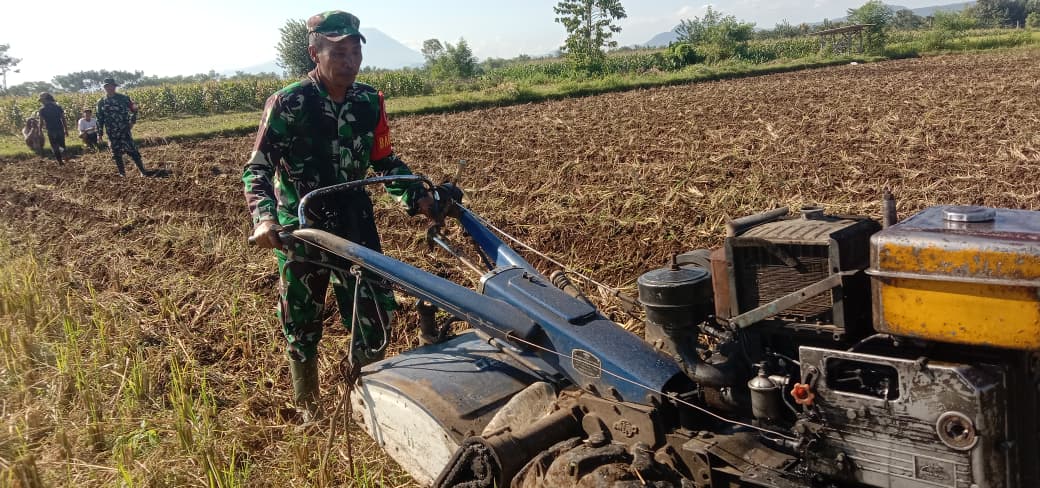 Program Ketahanan Pangan, Koramil Wonomerto Dampingi Para Petani