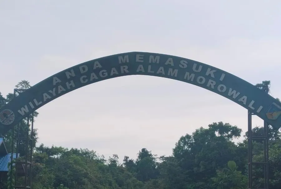 Diminta BKSDA Morut, Hadirkan Keadilan Sosial Bagi Seluruh Rakyat Indonesia, (Sila Ke - 5) Pancasila, Tampa Pandang Bulu, Dan Kayu Sitaan Selama Ini Dikemanakan. Diminta BKSDA Morut, Hadirkan Keadilan Sosial Bagi Seluruh Rakyat Indonesia, (Sila Ke - 5) Pancasila, Tampa Pandang Bulu, Dan Kayu Sitaan Selama Ini Dikemanakan.