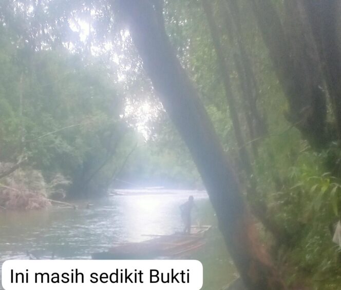 
Miris. Diduga Kepala BKSDA Sulteng, Mandul, Takut Evaluasi Personilnya, Buktinya Masih Ada Yang Beraktifitas