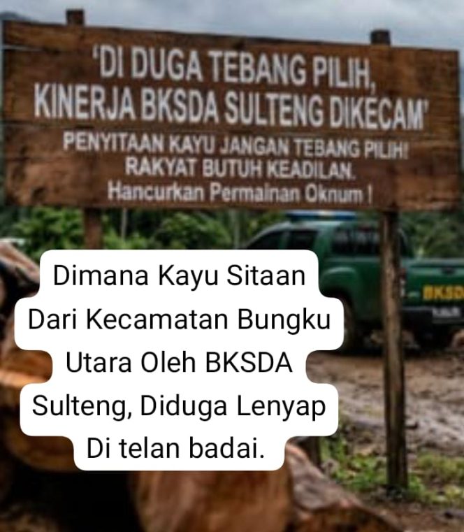 
Diminta Kepala BKSDA Sulteng, Tunjukan Kayu Sitaan Selama Ini Di Bungku Utara, Atau Hmmmm ???
