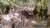 IMG-20260420-WA0154