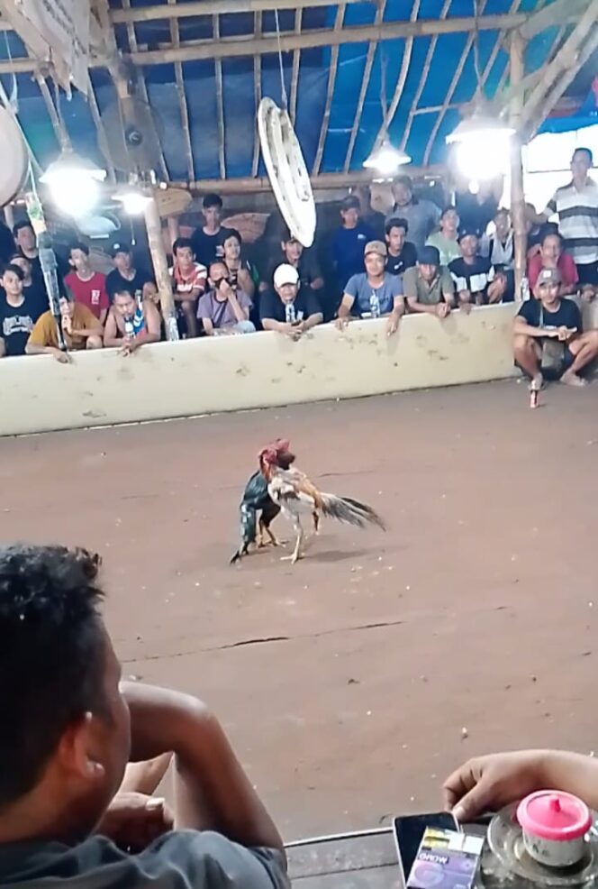 
Dugaan Praktik Judi Terang-Terangan di Desa Serangan Ponorogo Jadi Sorotan, Warga Minta Penindakan Tegas