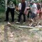 Perselisihan Berakhir Tragis, Duel Carok di Sumberwringin Lumajang Telan Korban Jiwa Perselisihan Berakhir Tragis, Duel Carok di Sumberwringin Lumajang Telan Korban Jiwa