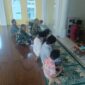 Tingkatkan Kemanunggalan, Satgas TMMD Ke-128 Sholat Asar Berjamaah Bersama Warga Desa Brabe