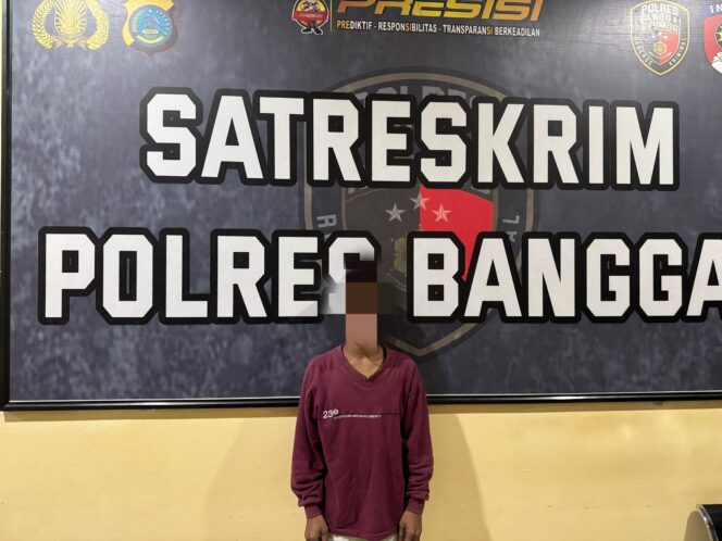 
Gelapkan Uang Muat, Sopir Tronton Diamankan Polres Banggai