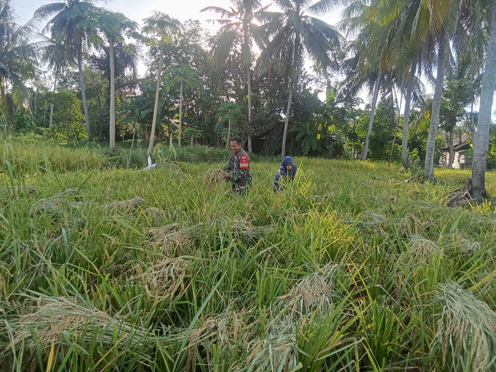 Masyarakat