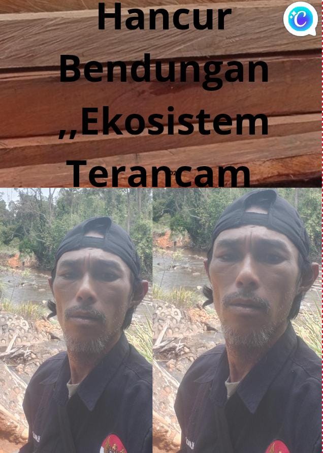 Diduga Ada Pembiaran Pembalakan Liar di Bendungan Taronggo, Ekosistem Terancam; Oknum Personel BKSDA Disorot, Saudara Kandung Pengolah. Diduga Ada Pembiaran Pembalakan Liar di Bendungan Taronggo, Ekosistem Terancam; Oknum Personel BKSDA Disorot, Saudara Kandung Pengolah.