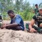 Manfaatkan Lahan Tidur, Satgas TMMD Ke-128 Kodim 1710/Mimika Tanam Jagung Bersama Warga Manfaatkan Lahan Tidur, Satgas TMMD Ke-128 Kodim 1710/Mimika Tanam Jagung Bersama Warga