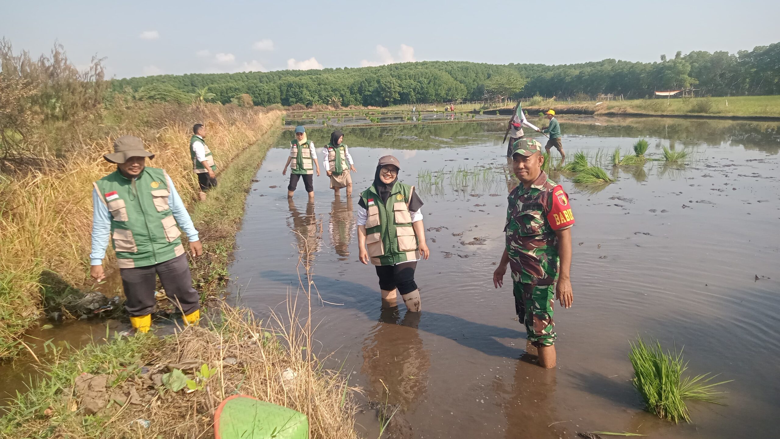 Perkuat Sektor Pertanian, Koramil Kanigaran Bersama Sejumlah Pihak Laksanakan Kegiatan Gerakan Percepatan Tanam Bimtek P3OPT dan Sosialisasi Sifortuna