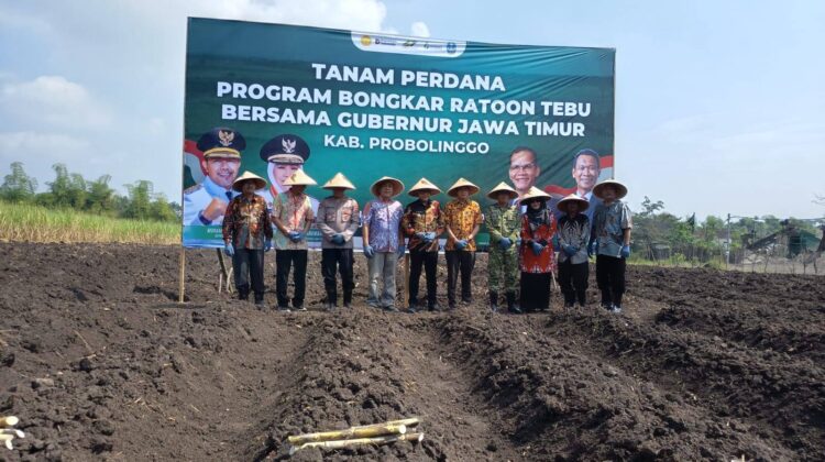 Kodim 0820 Probolinggo Dukung Progam Bongkar Ratoon Dan Perluasan Areal Tebu