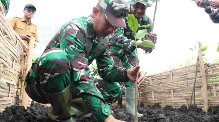 Penguatan Pembinaan Teritorial, Dandim Pimpin Penanaman Mangrove Serentak Di Wilayah Pesisir