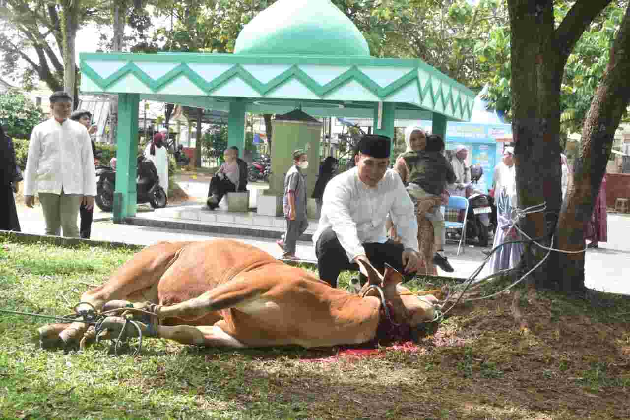 Berbagi di Hari Raya Kurban, Dandim 1002/HST Serahkan Hewan Kurban Berbagi di Hari Raya Kurban, Dandim 1002/HST Serahkan Hewan Kurban