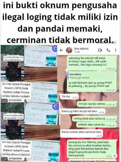Diduga (Hj. RM) Pengusaha Ilegal Loging Tidak Miliki Izin, Tidak Beretika, Pandai Memaki, Mencerminkan Tidak Bermoral.